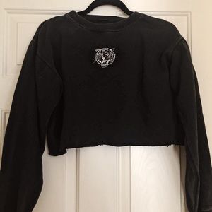 Brandy Melville John Galt Tiger Crop Sweater